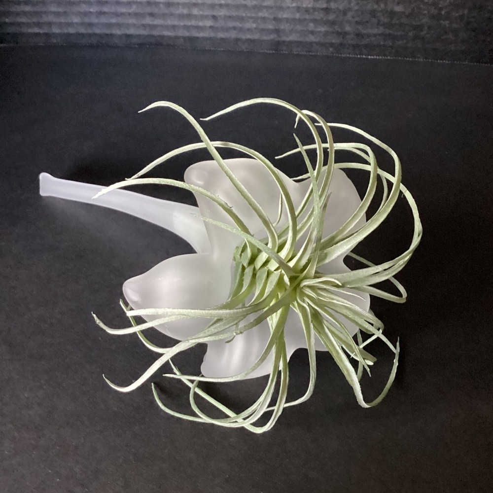 Frosted White Satin Art Glass Trumpet Horn Lily Epergne Flower Holder Bud Vase - Picture 2 of 16